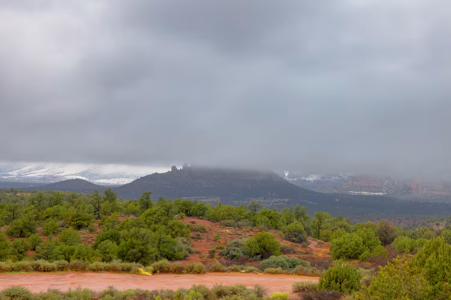 Grey Day