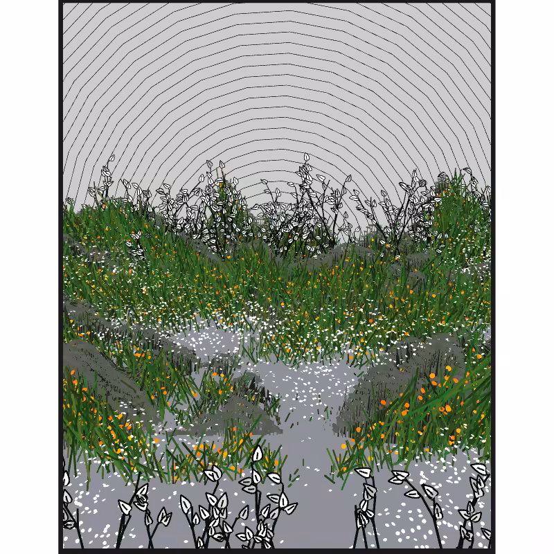 Contours #92