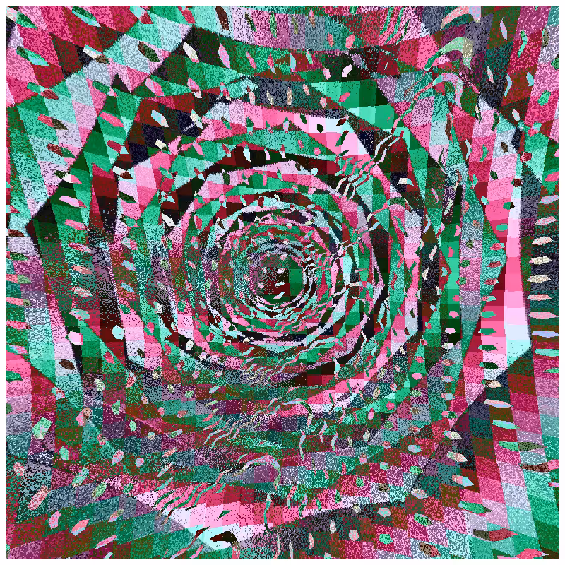 rosette #224
