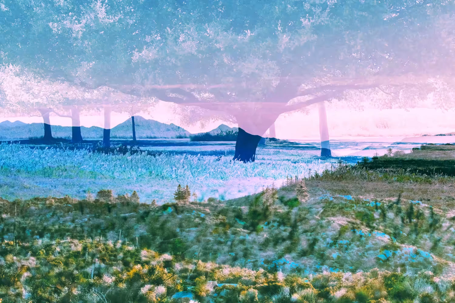 Memories of Summer