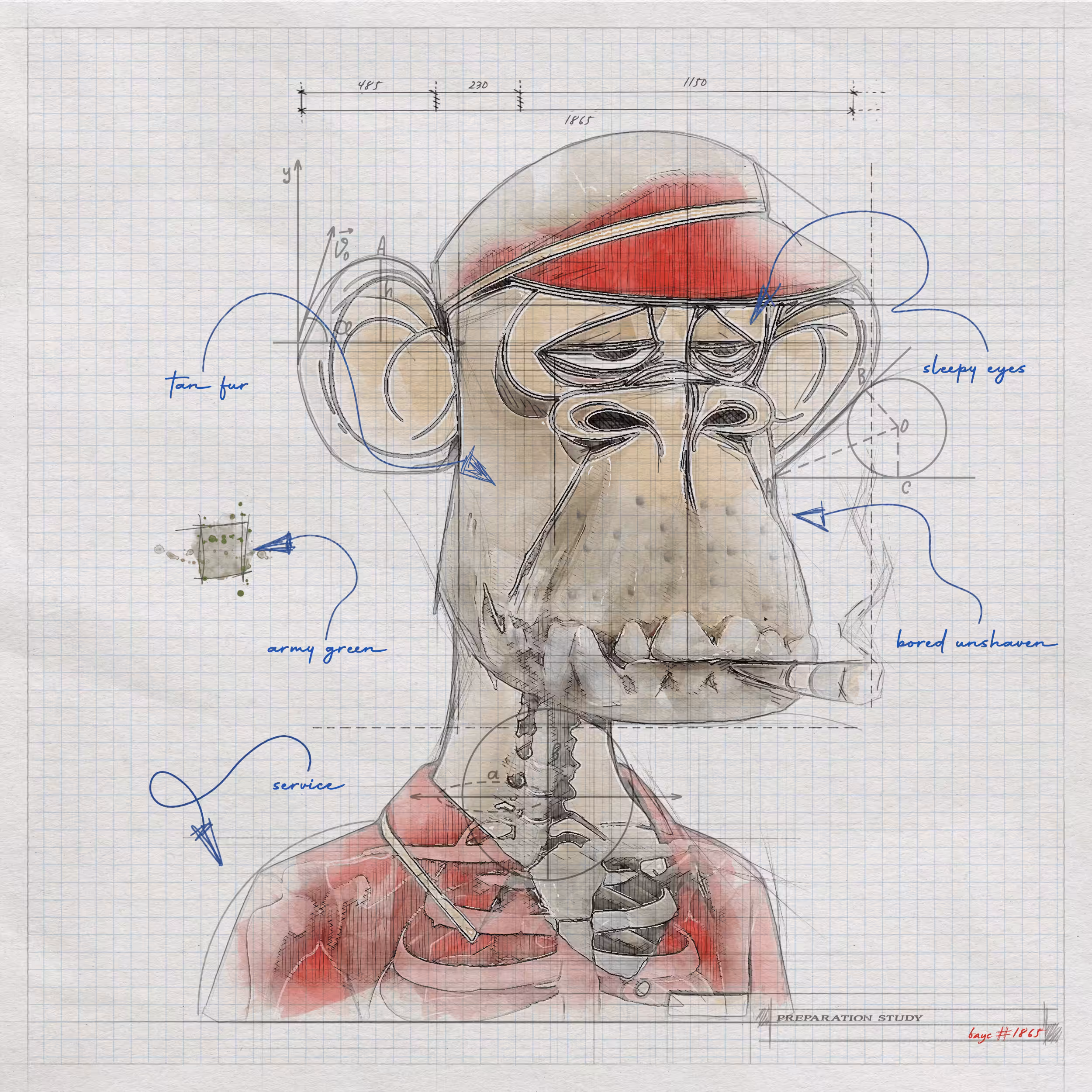 Ape #1865