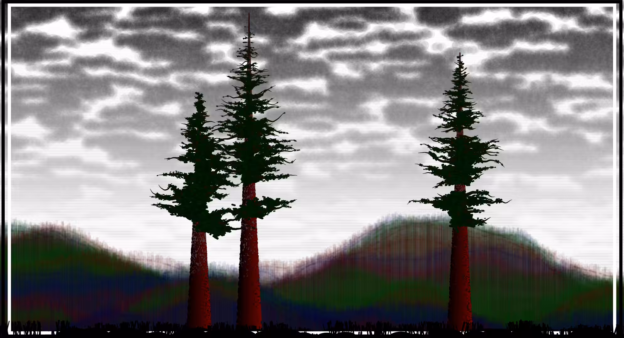 Sequoias #22