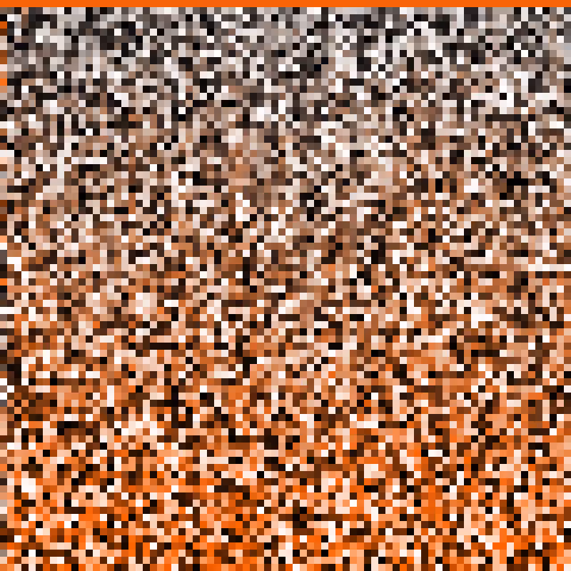 order_Image.output #24