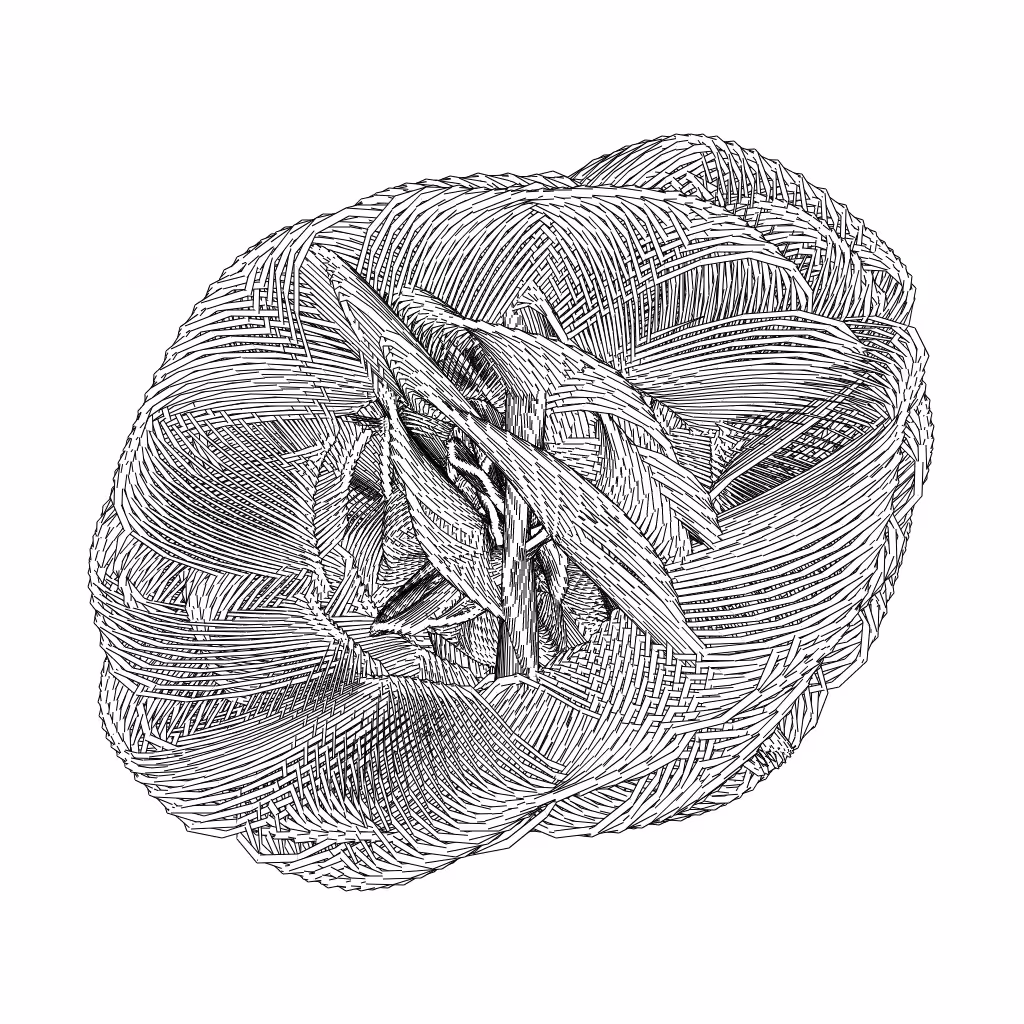 LL21 Entangled (3) #587