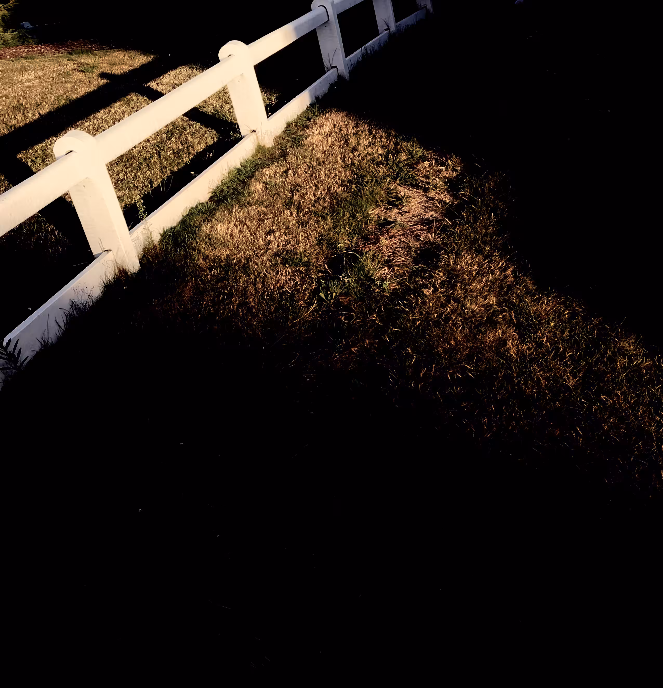 Sleepwalking 8