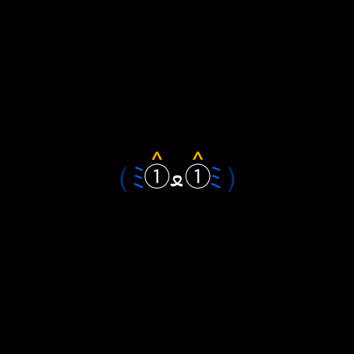 cats #6561