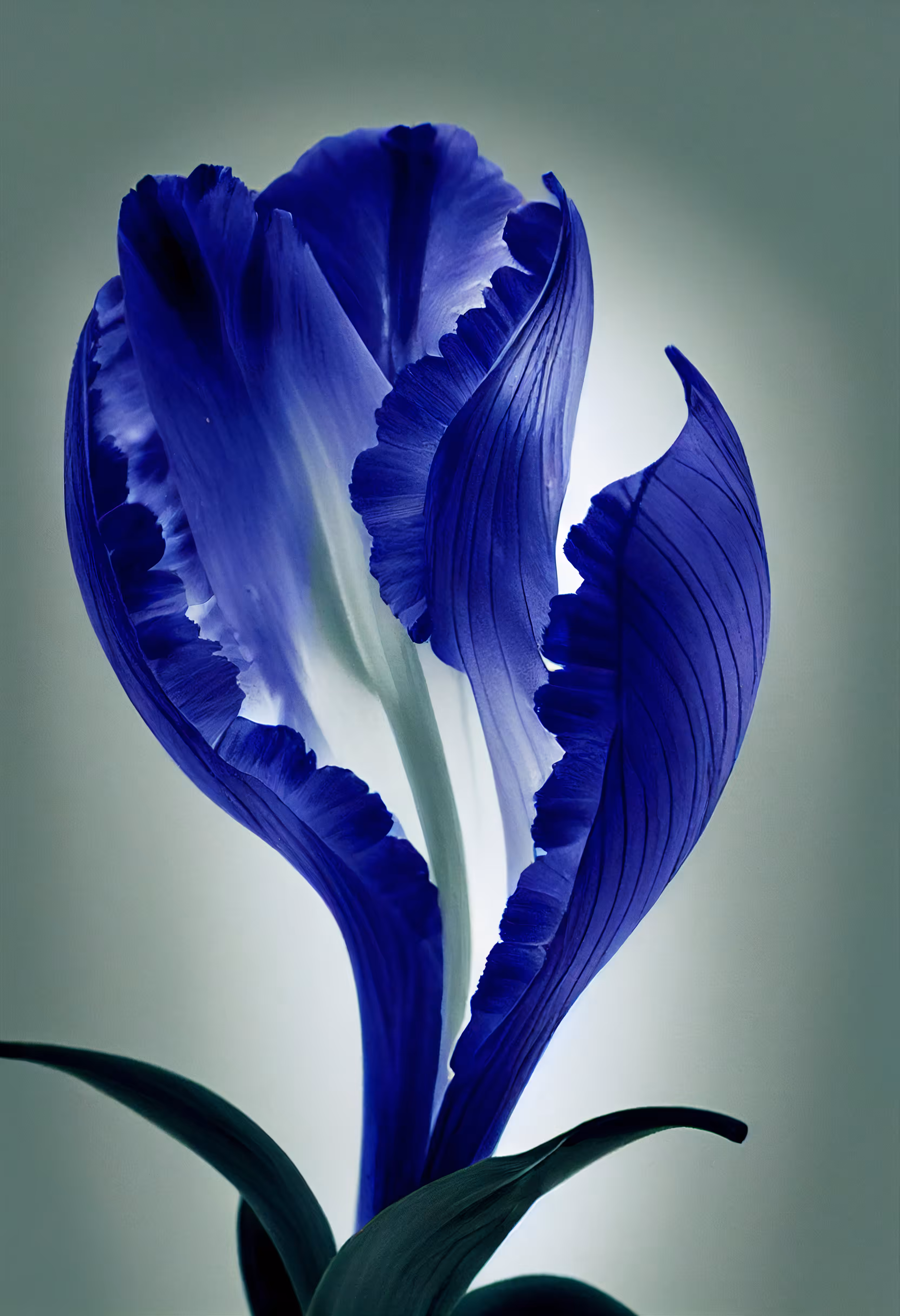 A Flower, Just For You. #97