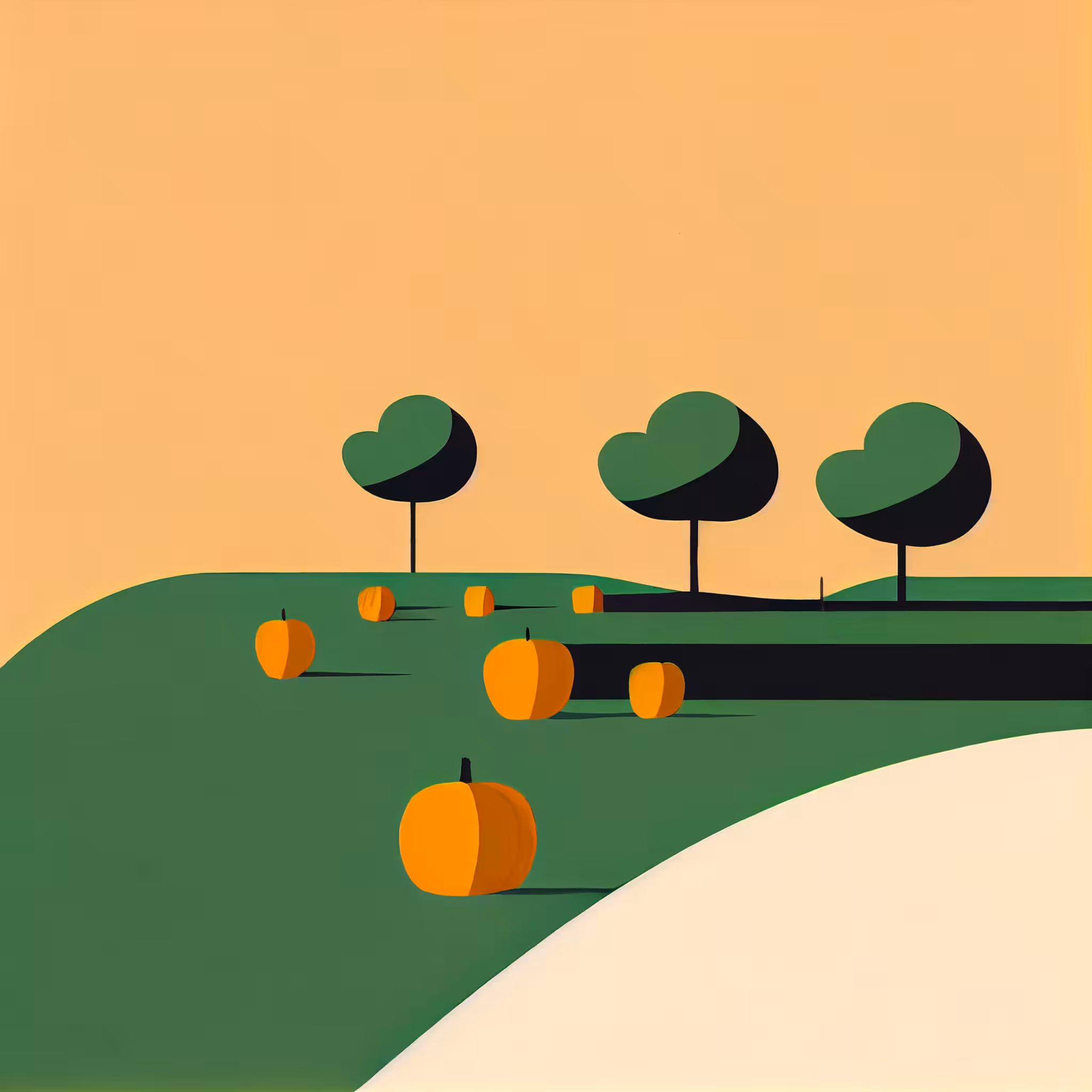 Pumpkin Patch