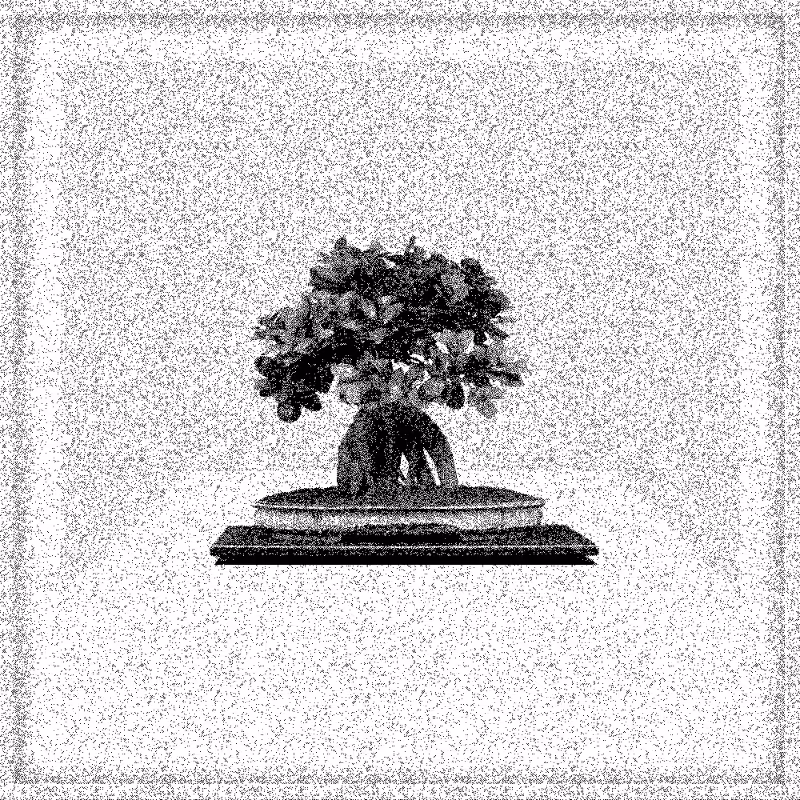 Bonsai Bonanza #733