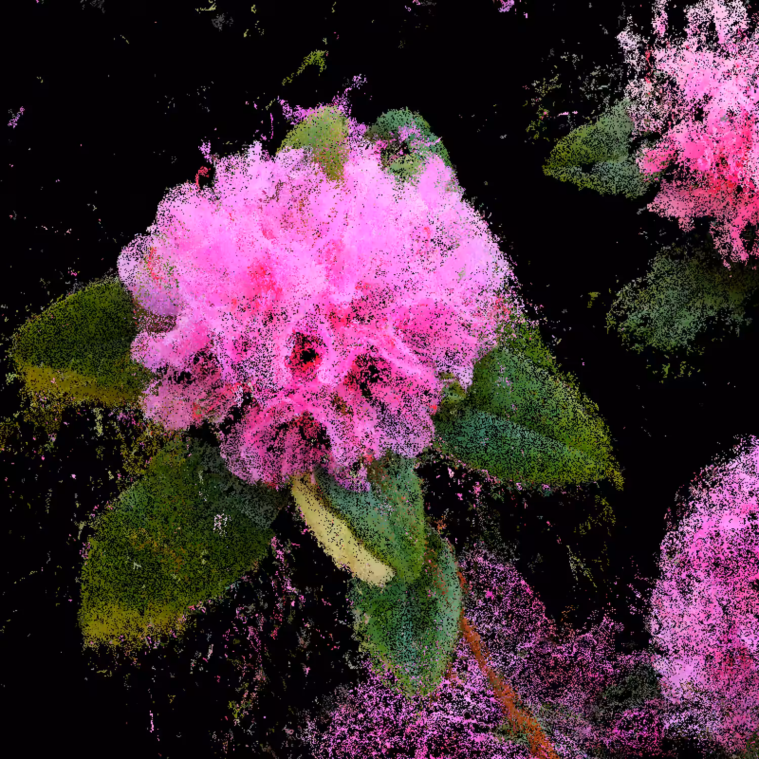 Azalea [NFT version]