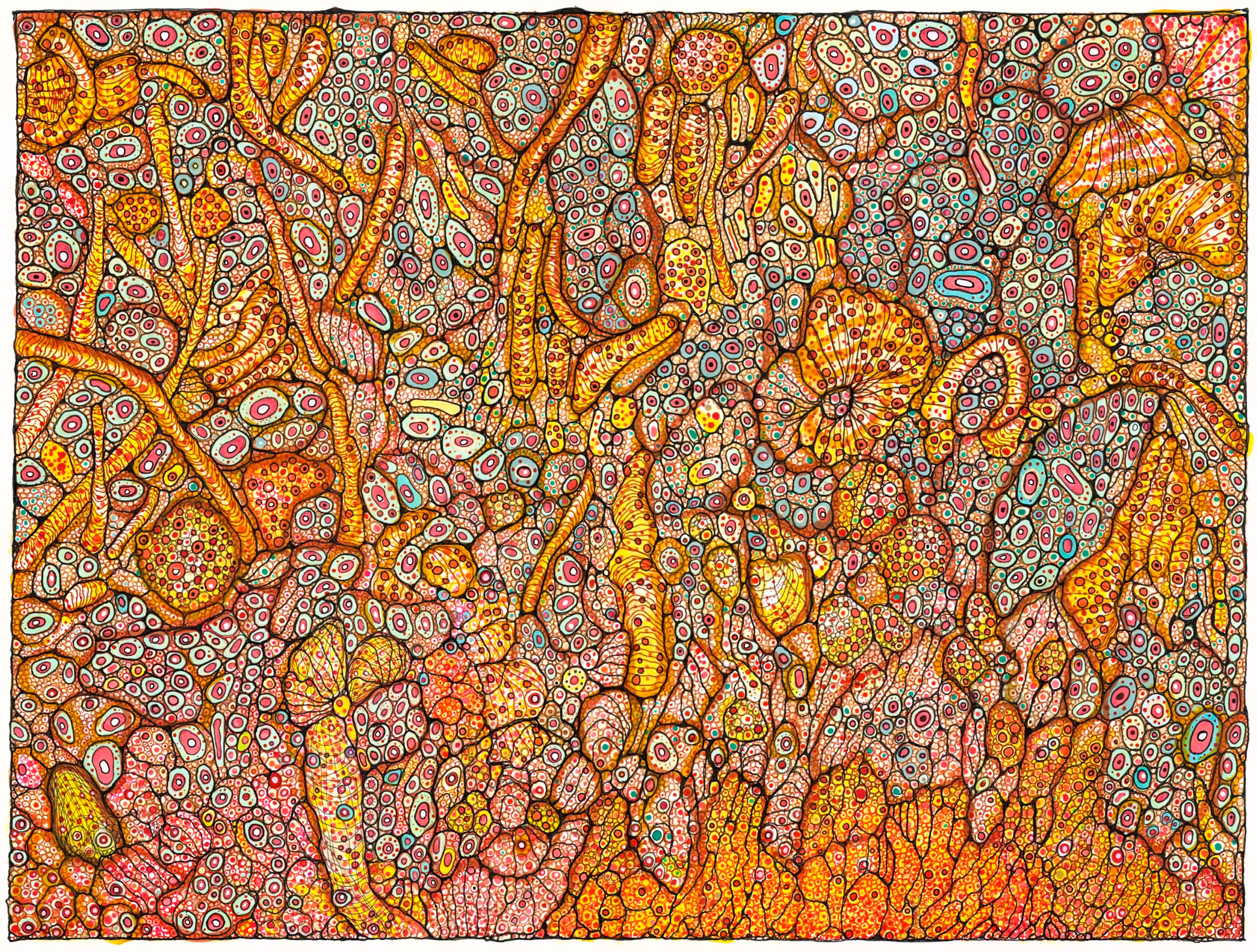 “COVID-19 Particles Emerging From A Dying Cell”
