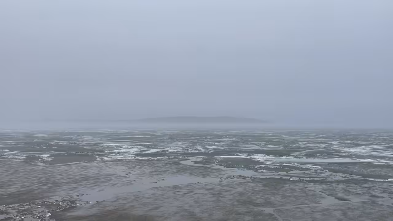ICEFOG
