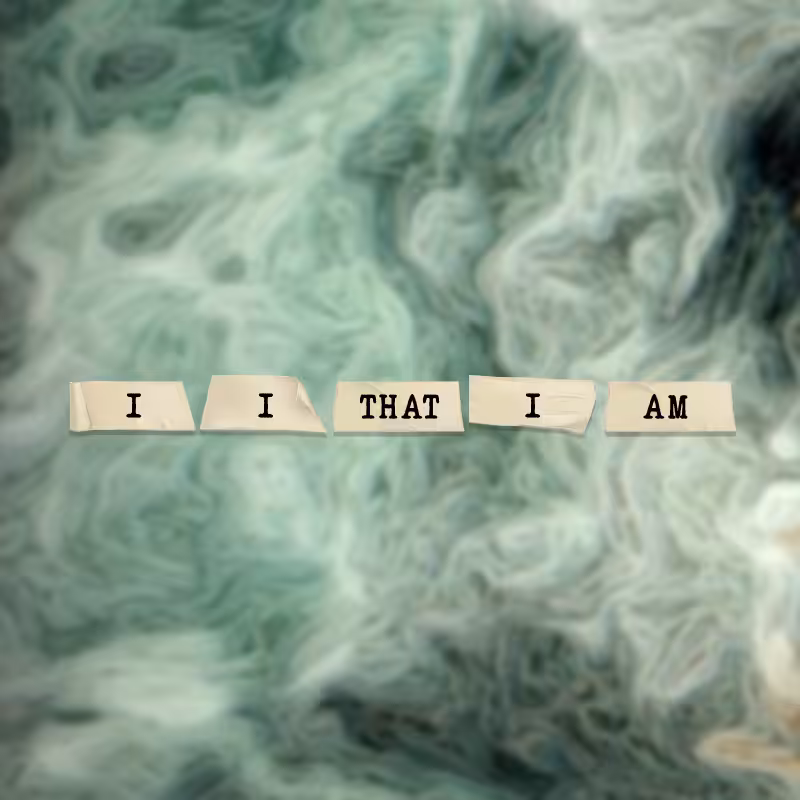 I AM THAT I AM  #2