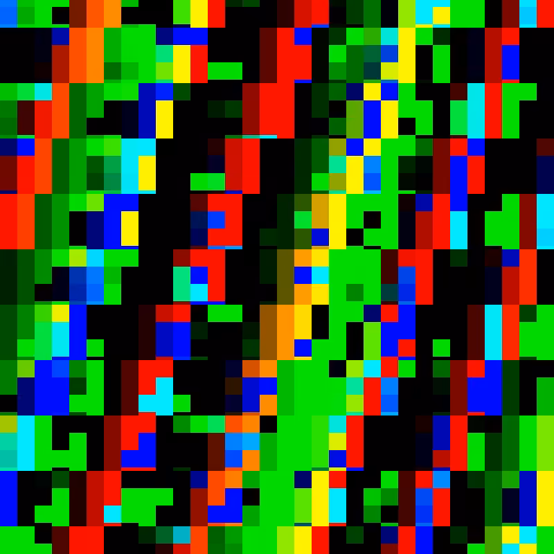plunct.plact.zum #13