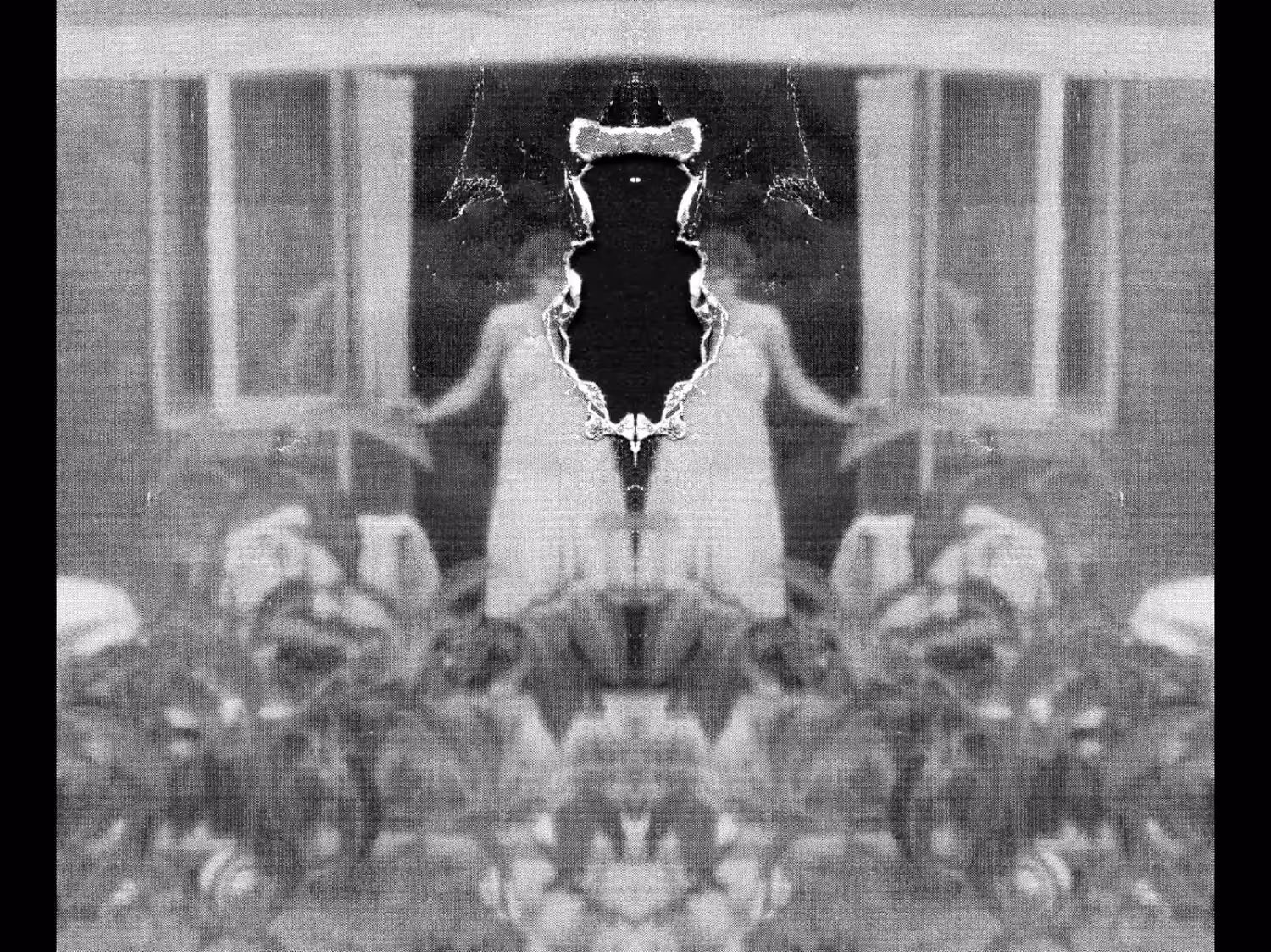 Dead Ringers Born Lovers