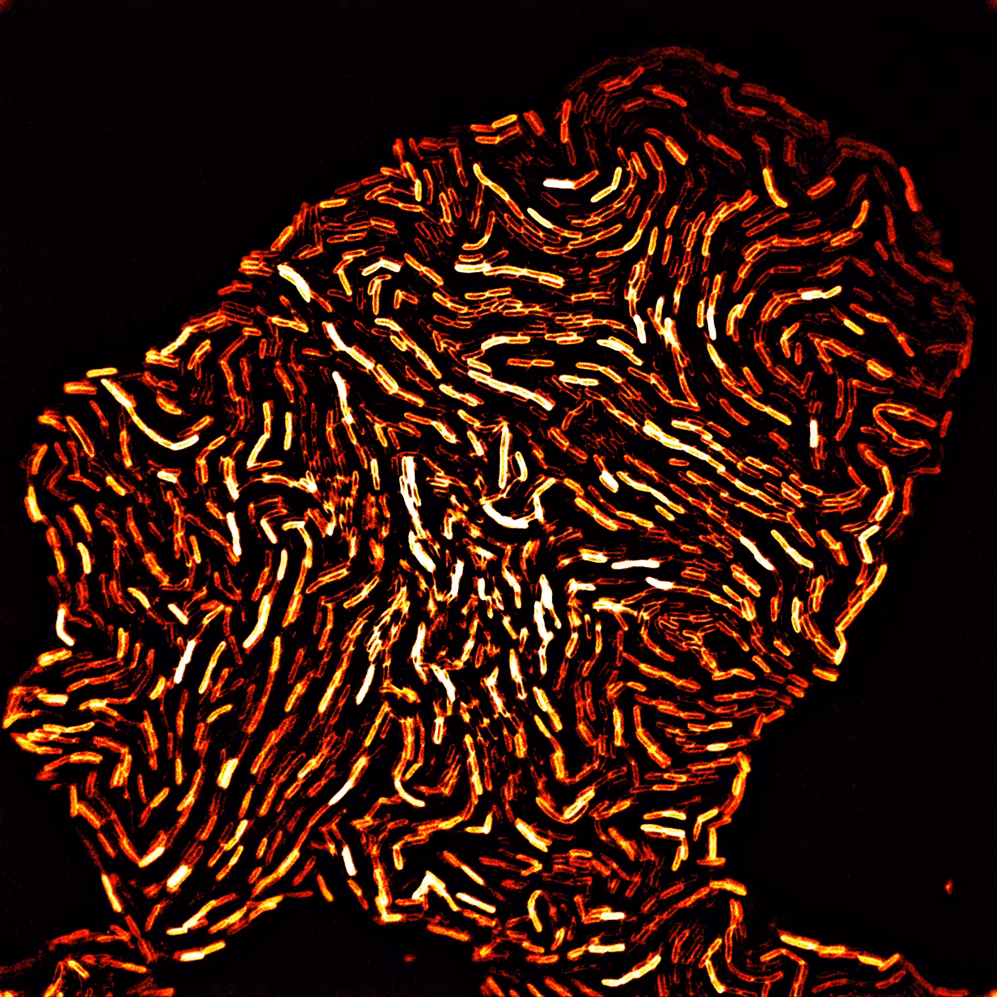 This is not a Van Gogh #2