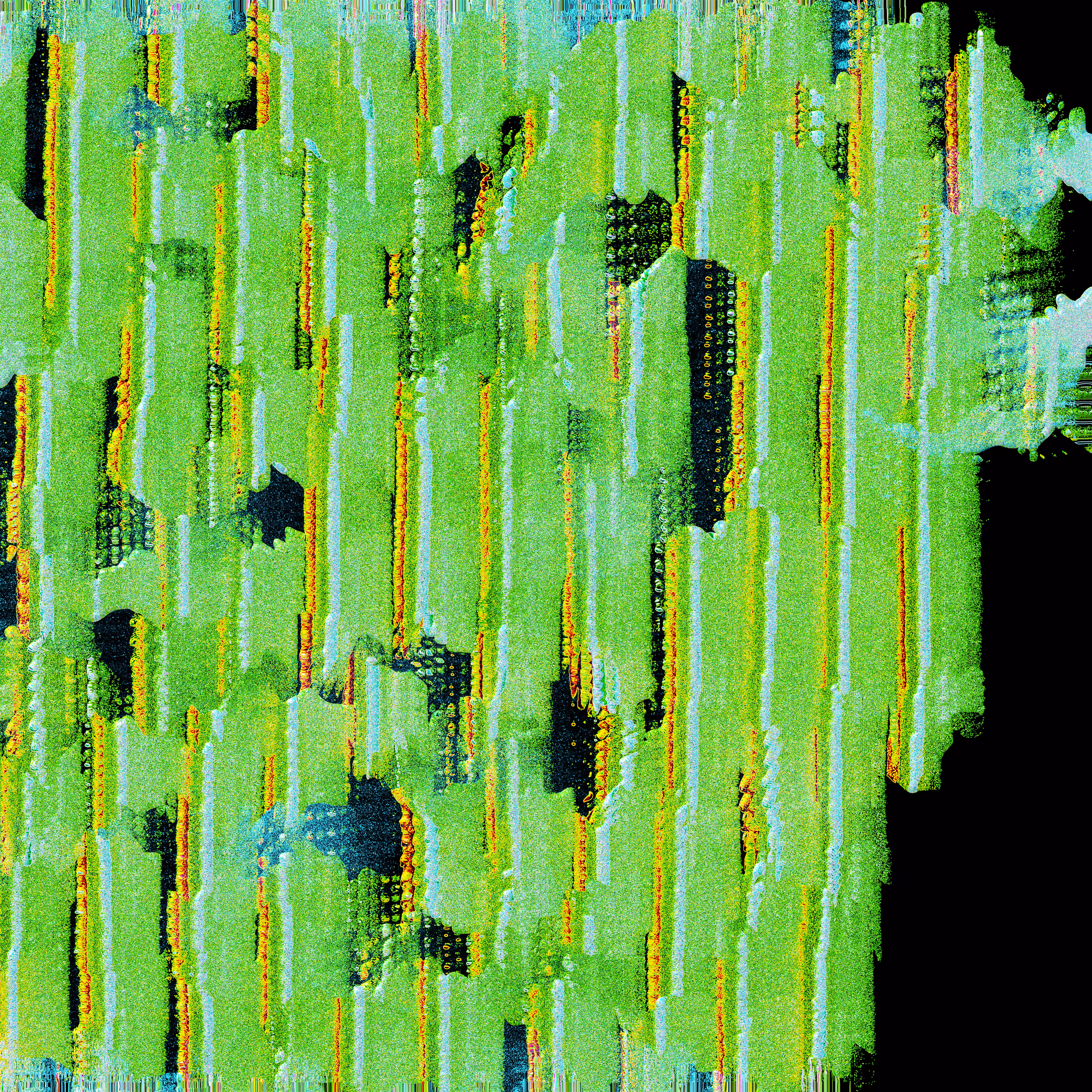 Birch Trunk 