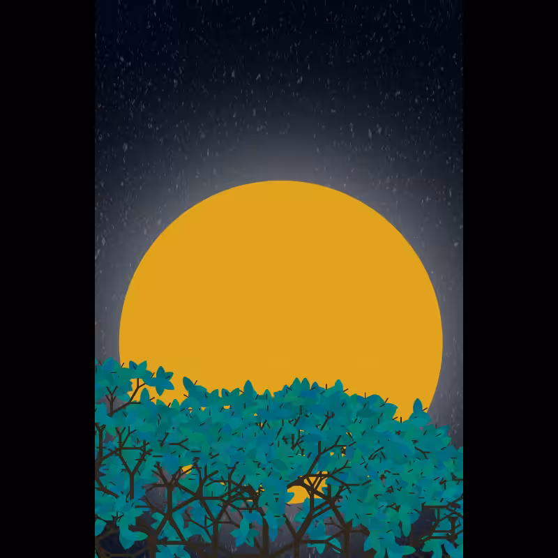 Moonlight Sonata #34