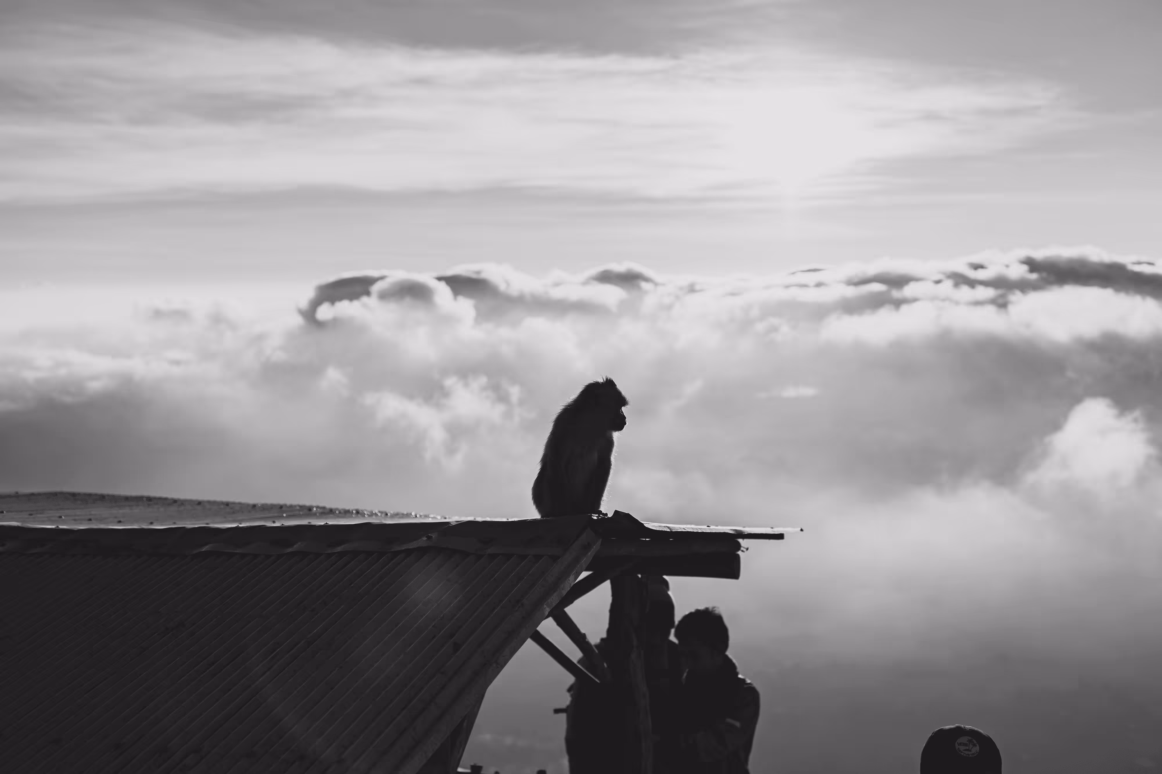 Bali in Black & White #1