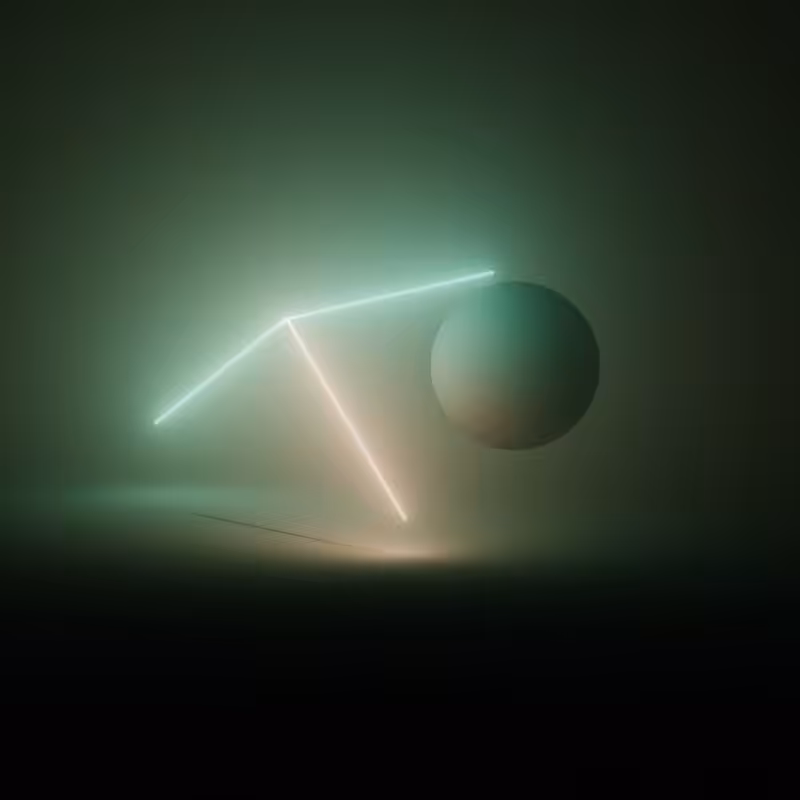 Wandering Nets #89