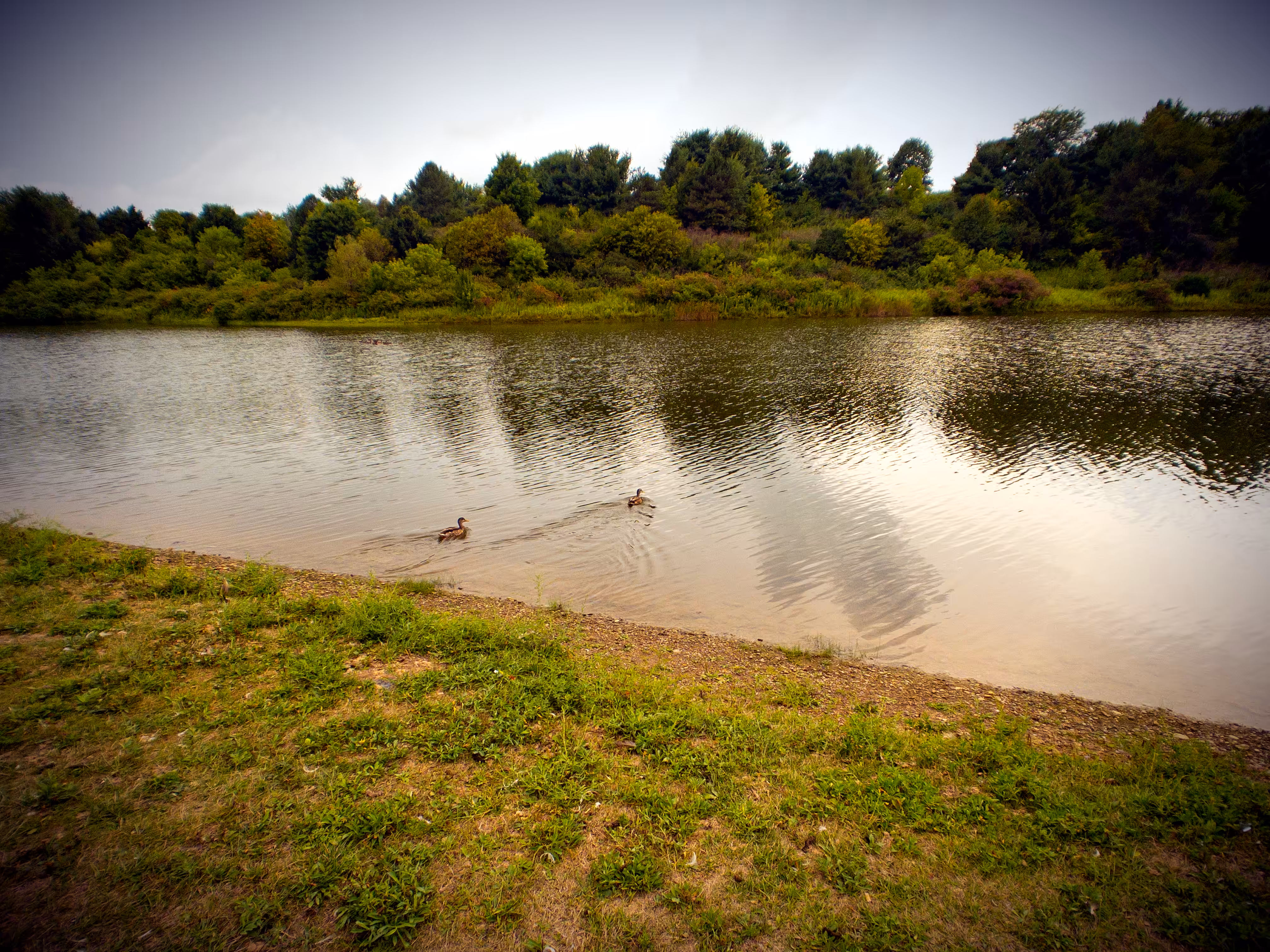 At The Lake