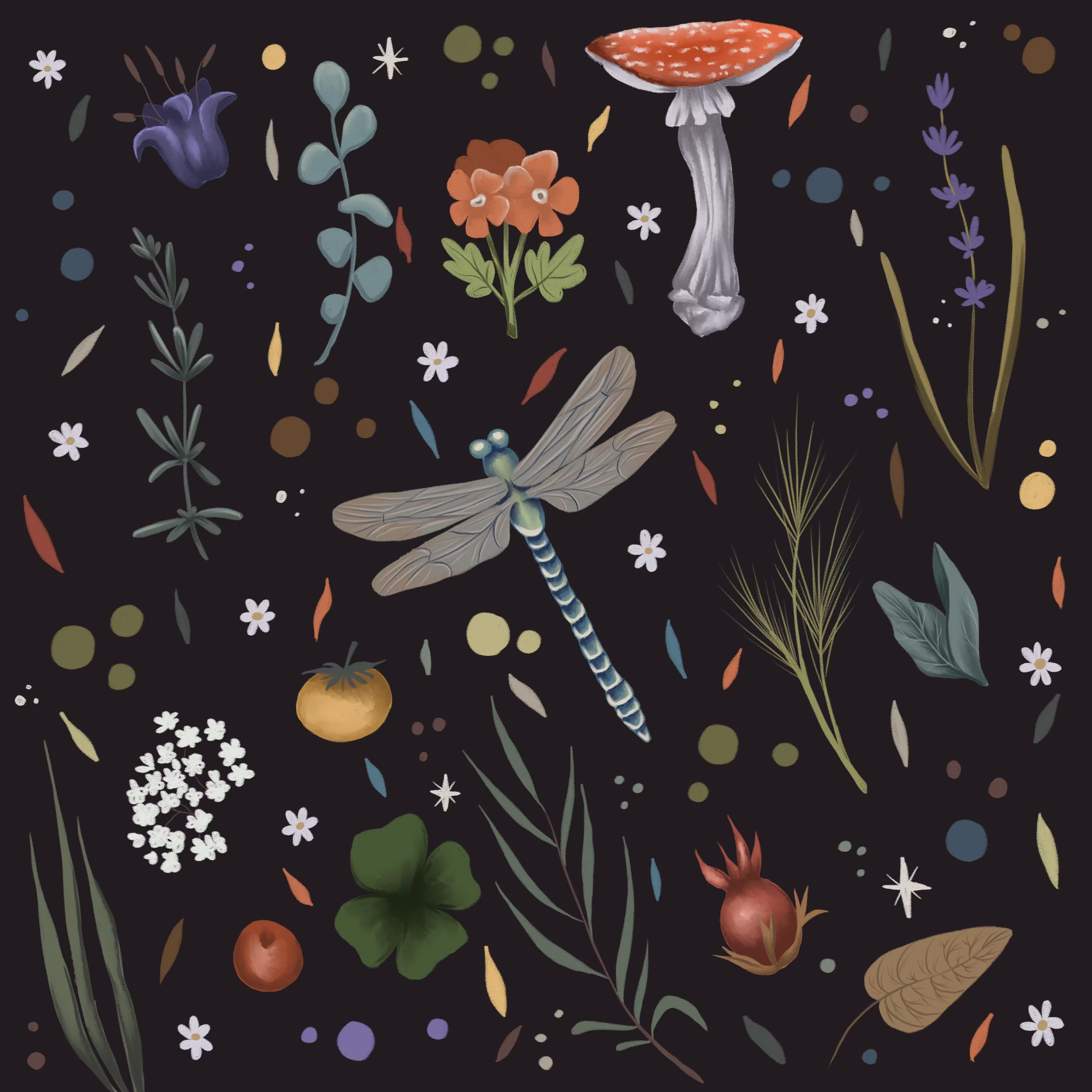 Dragonfly