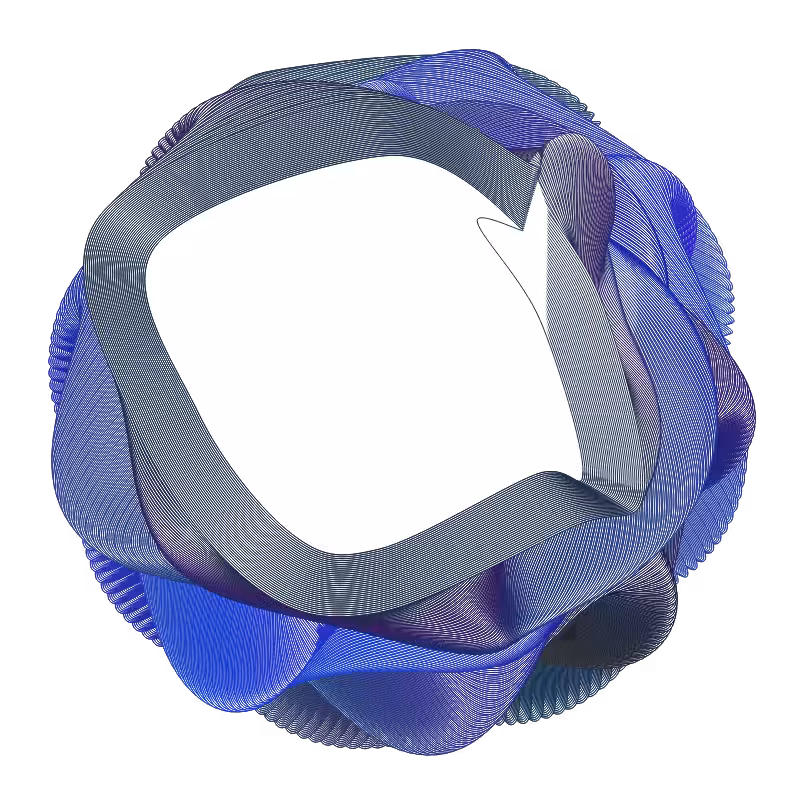 Entropy flower #2