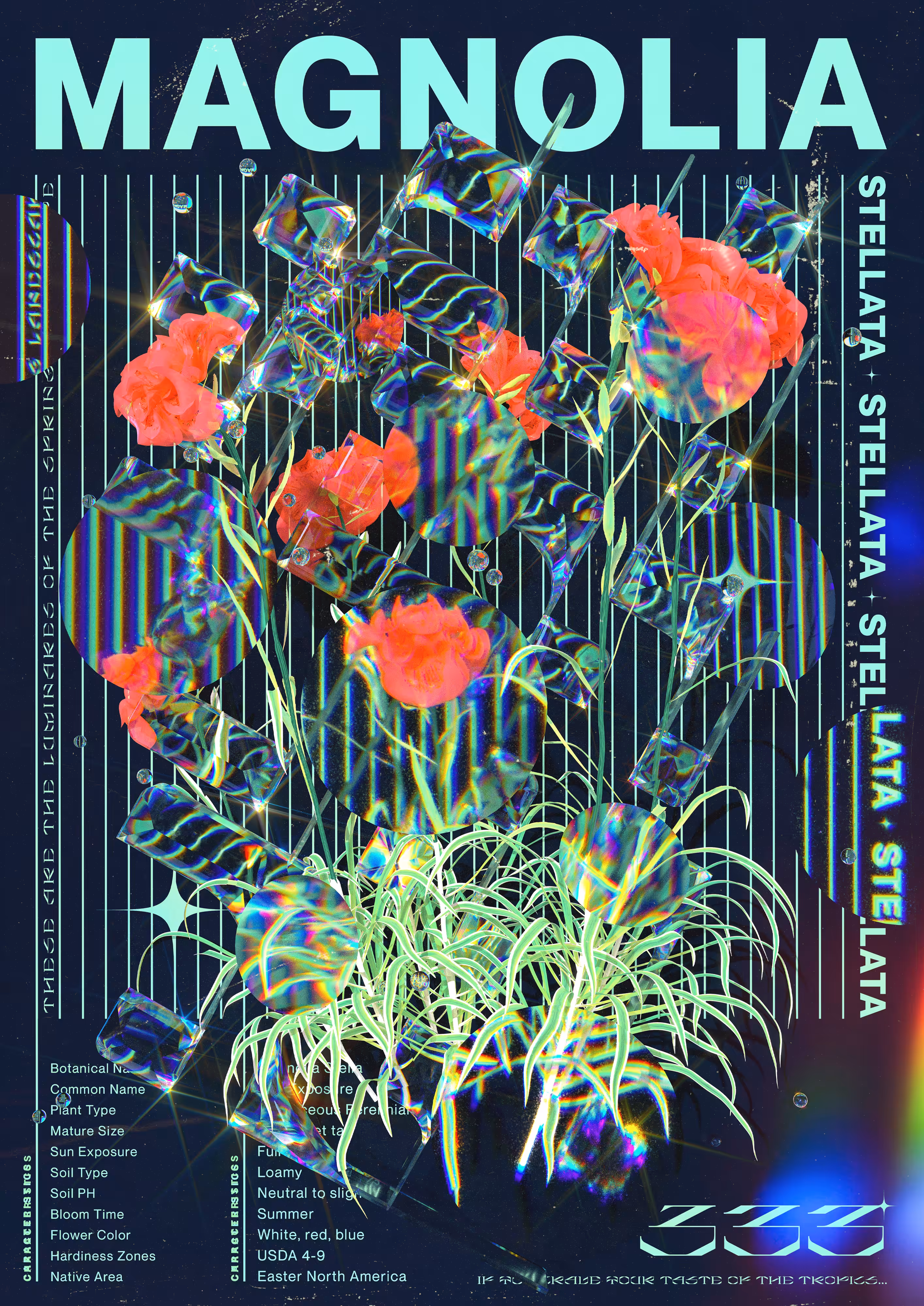 ✹ A_88 ✹