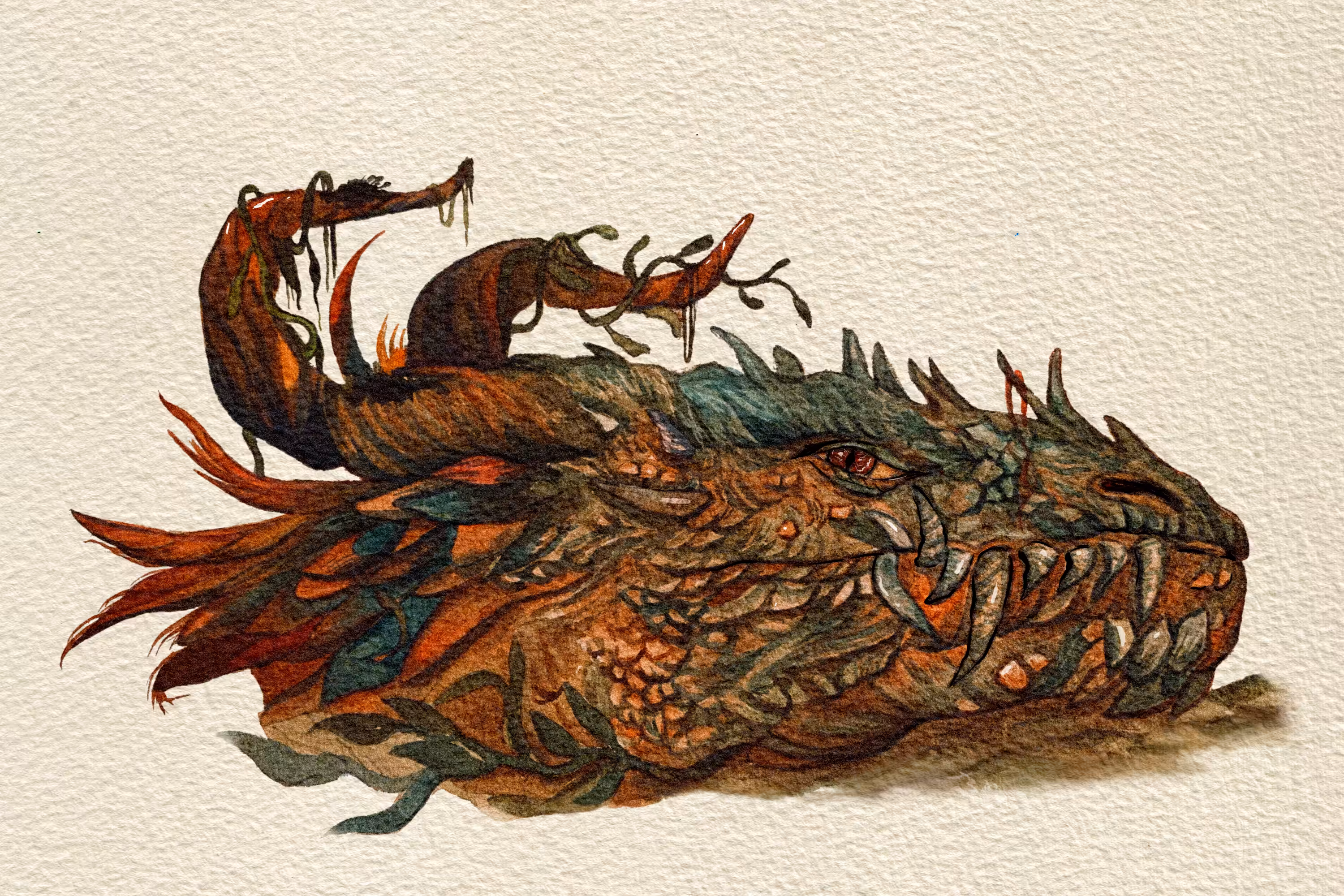 NAGA 