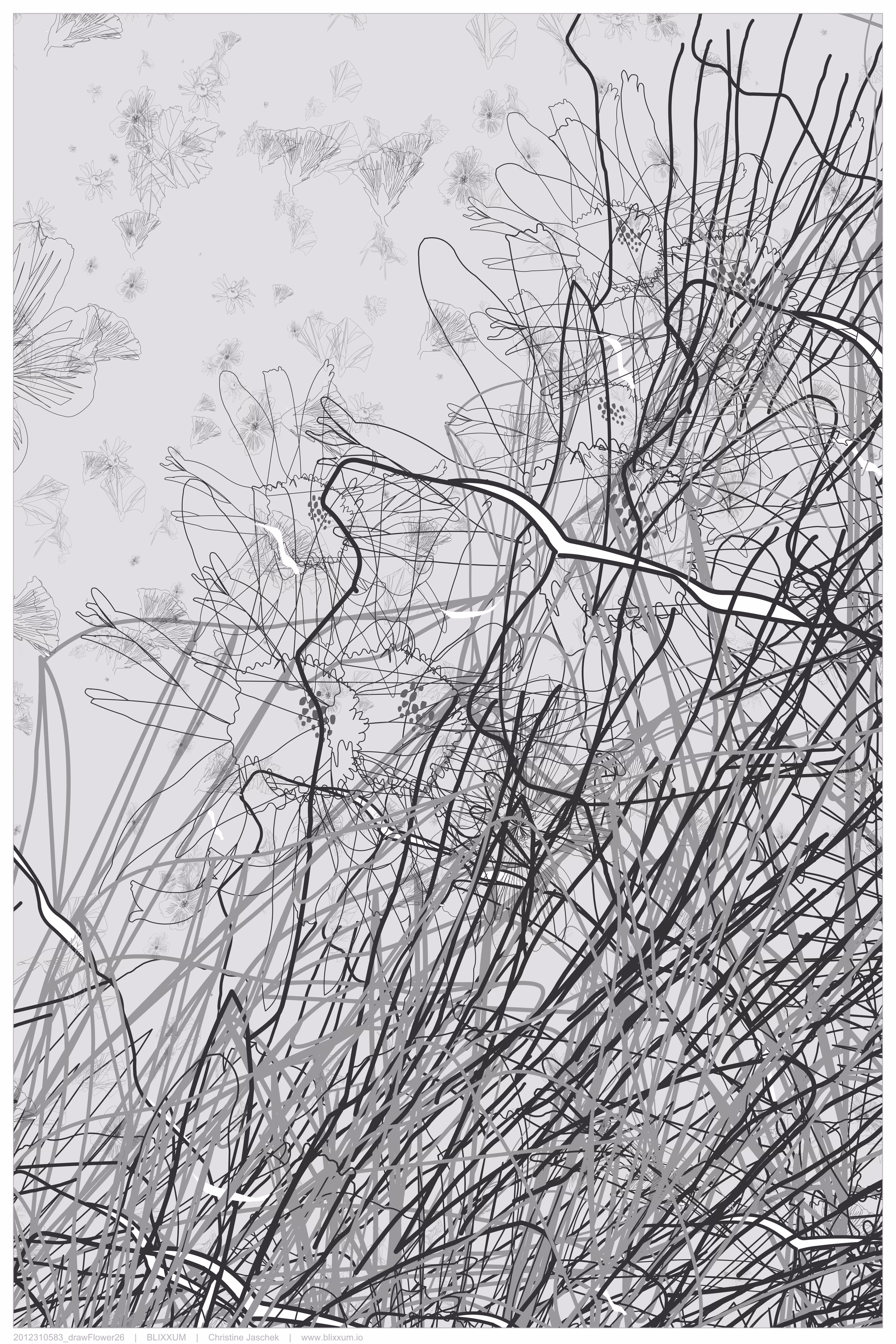 drawFlower26
