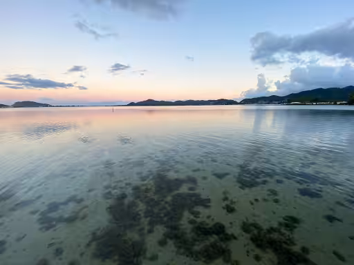 Off The Dock - Calm Bay At Twighlight