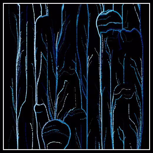 Observers' decline #8