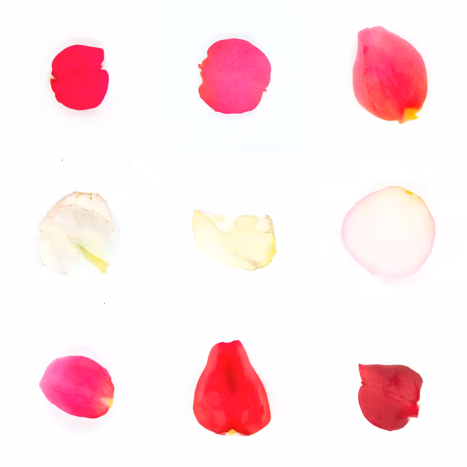 Infinite Petals 3x3#3125