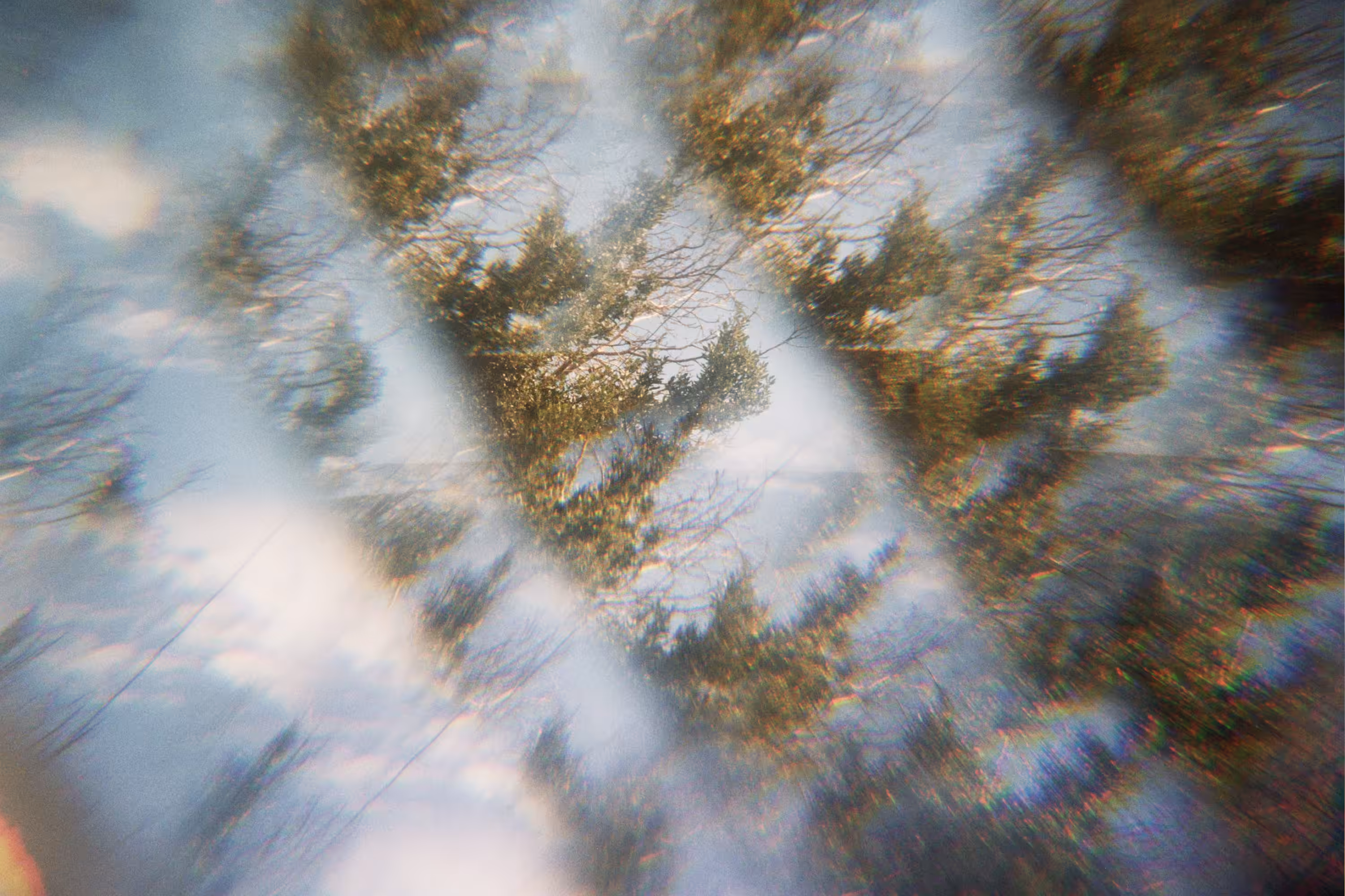 Photosynthesis