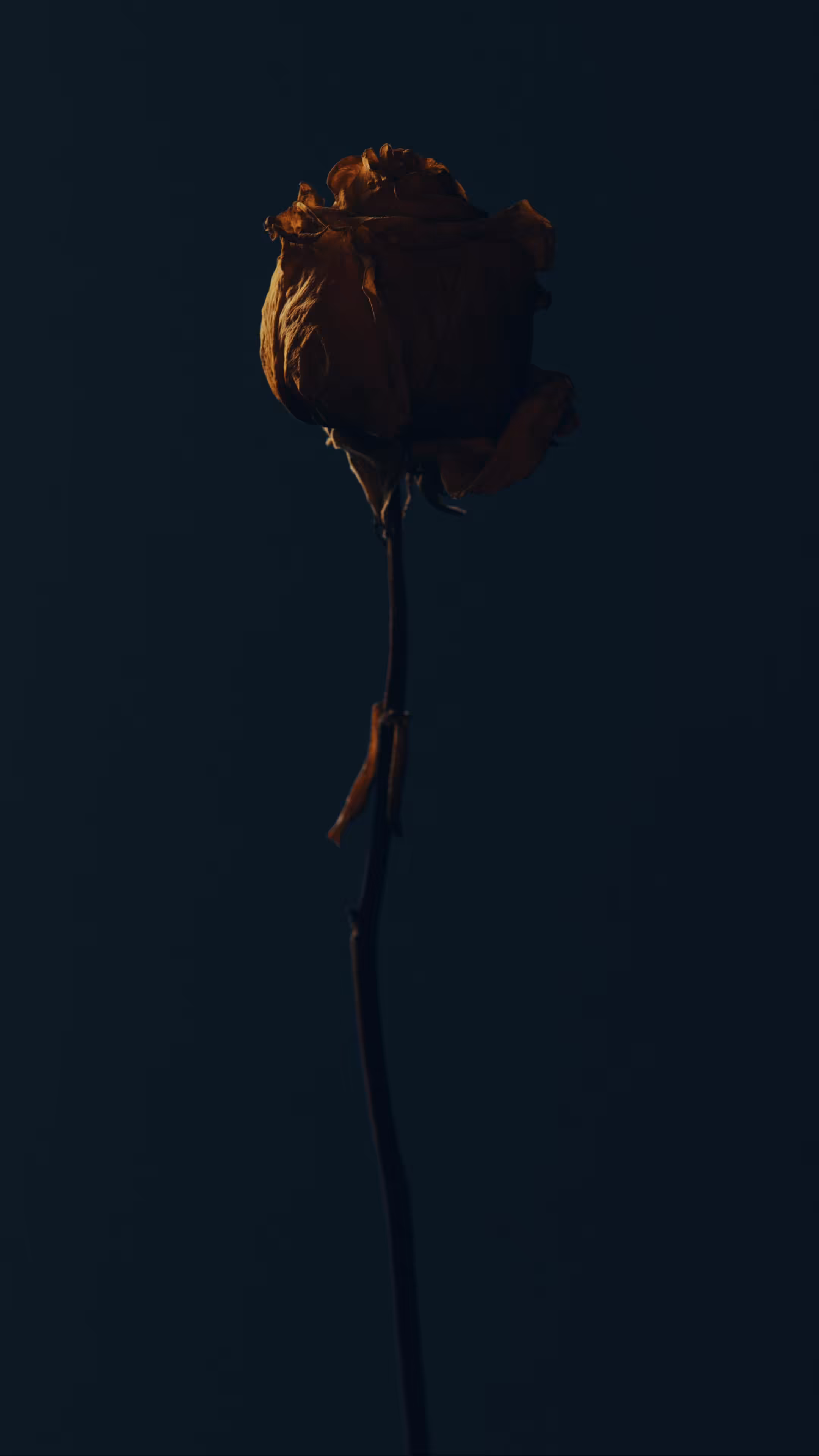 Garden of One