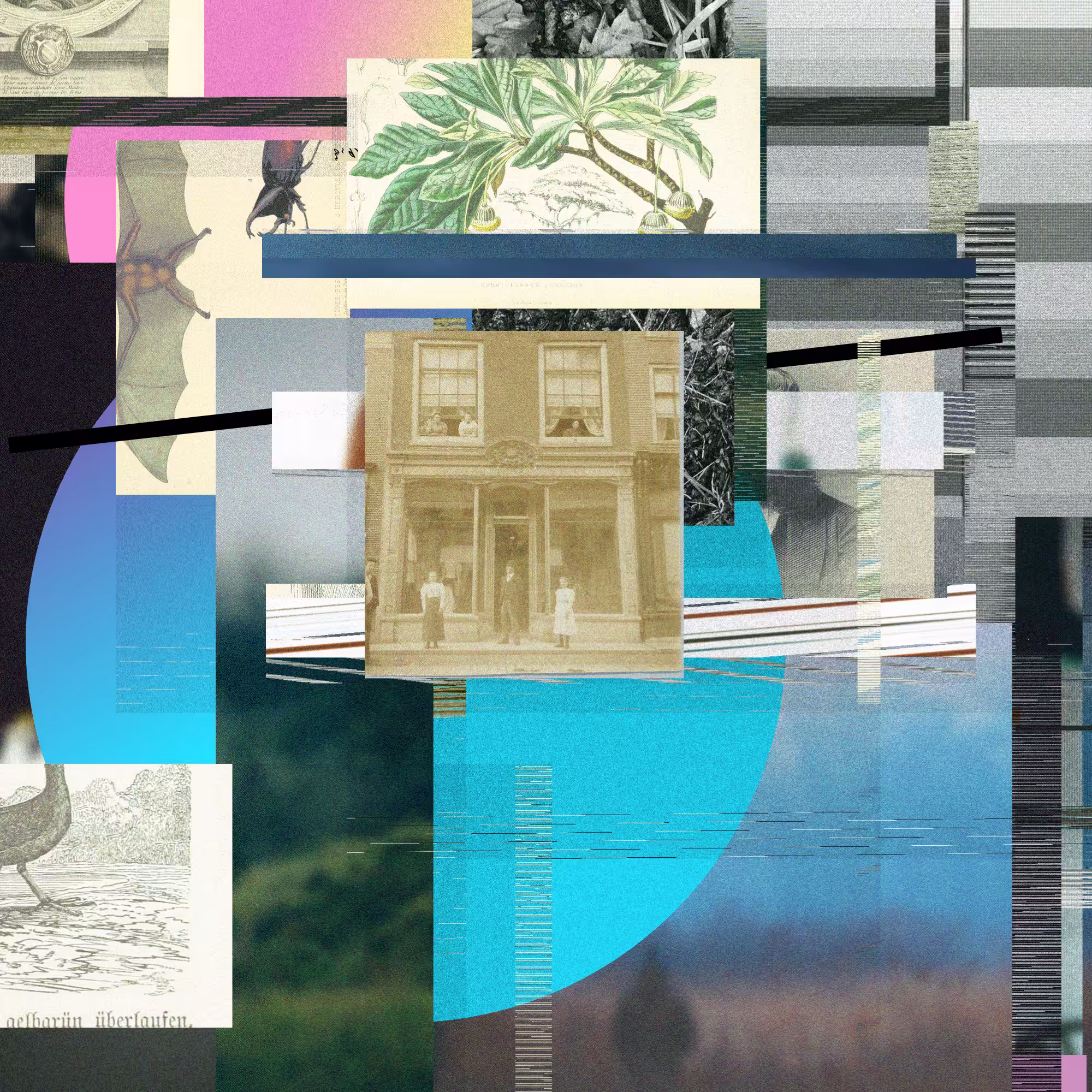 Unconscious Collages #1148