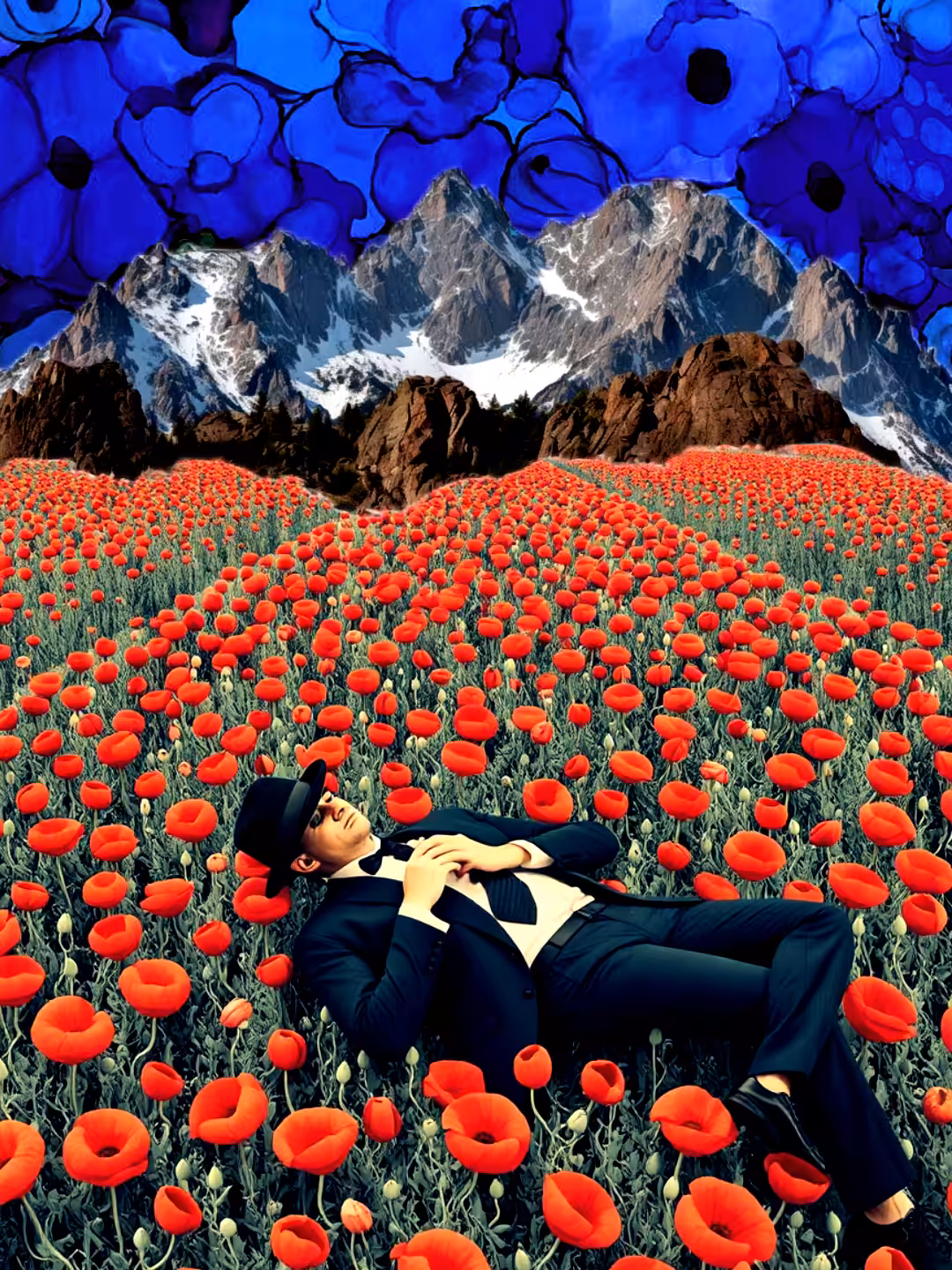 A Million Poppies