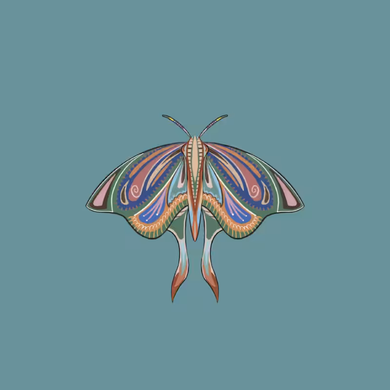 The Moth Experiment 2.0 P2 #17