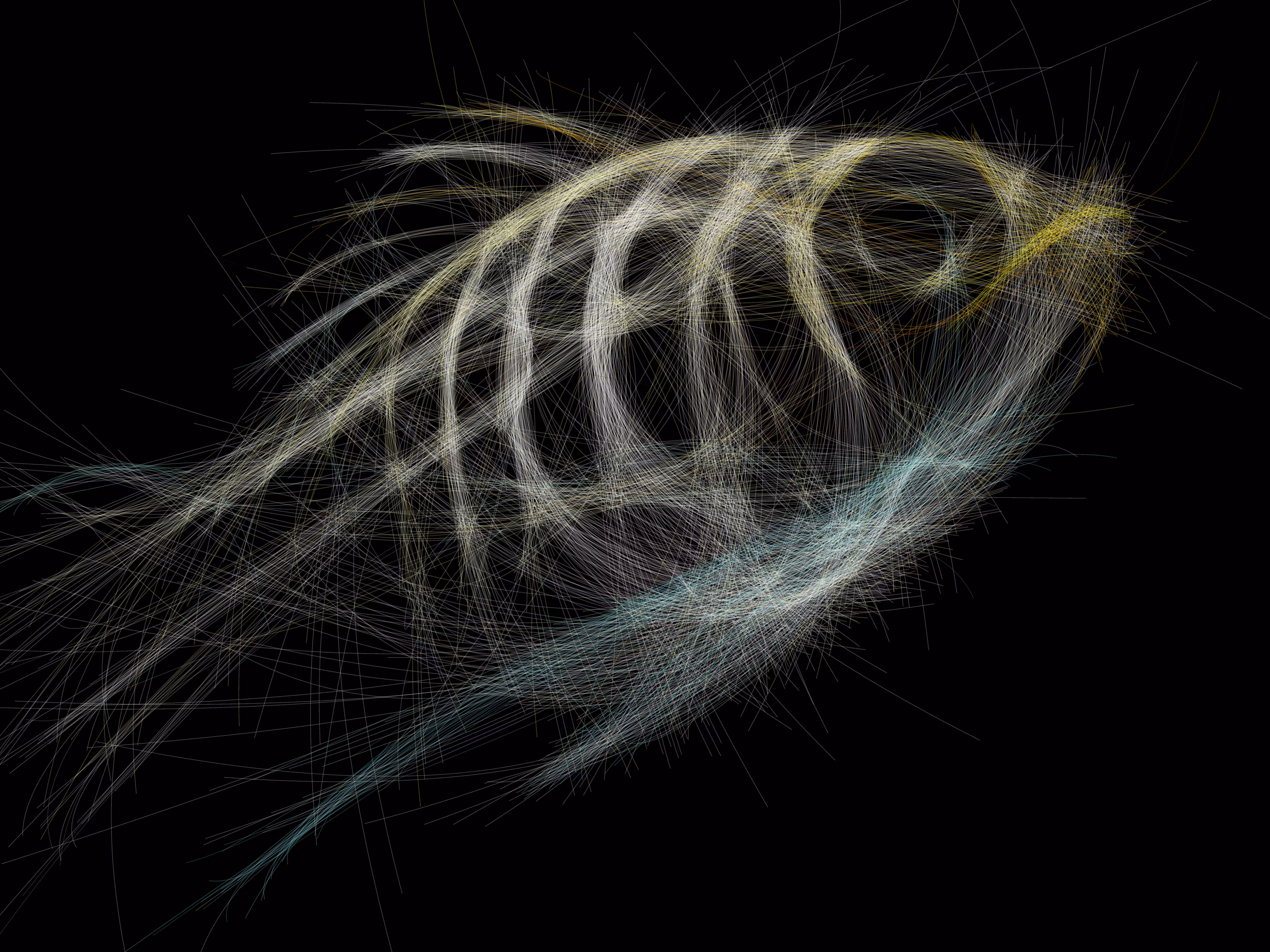 Underwater 56