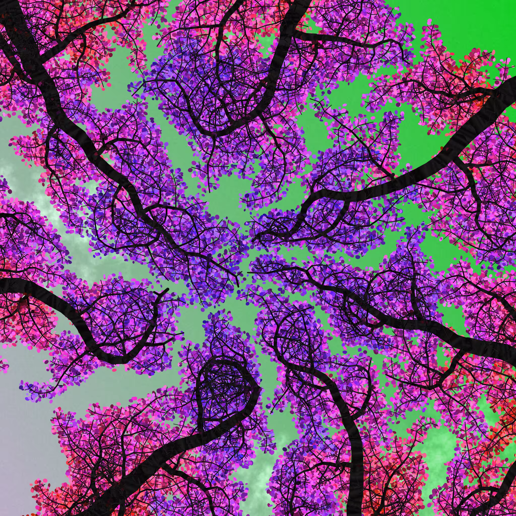 Tree Skyness #100