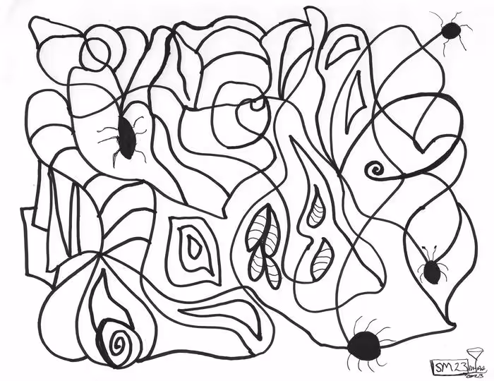 Interdimensional Drawing