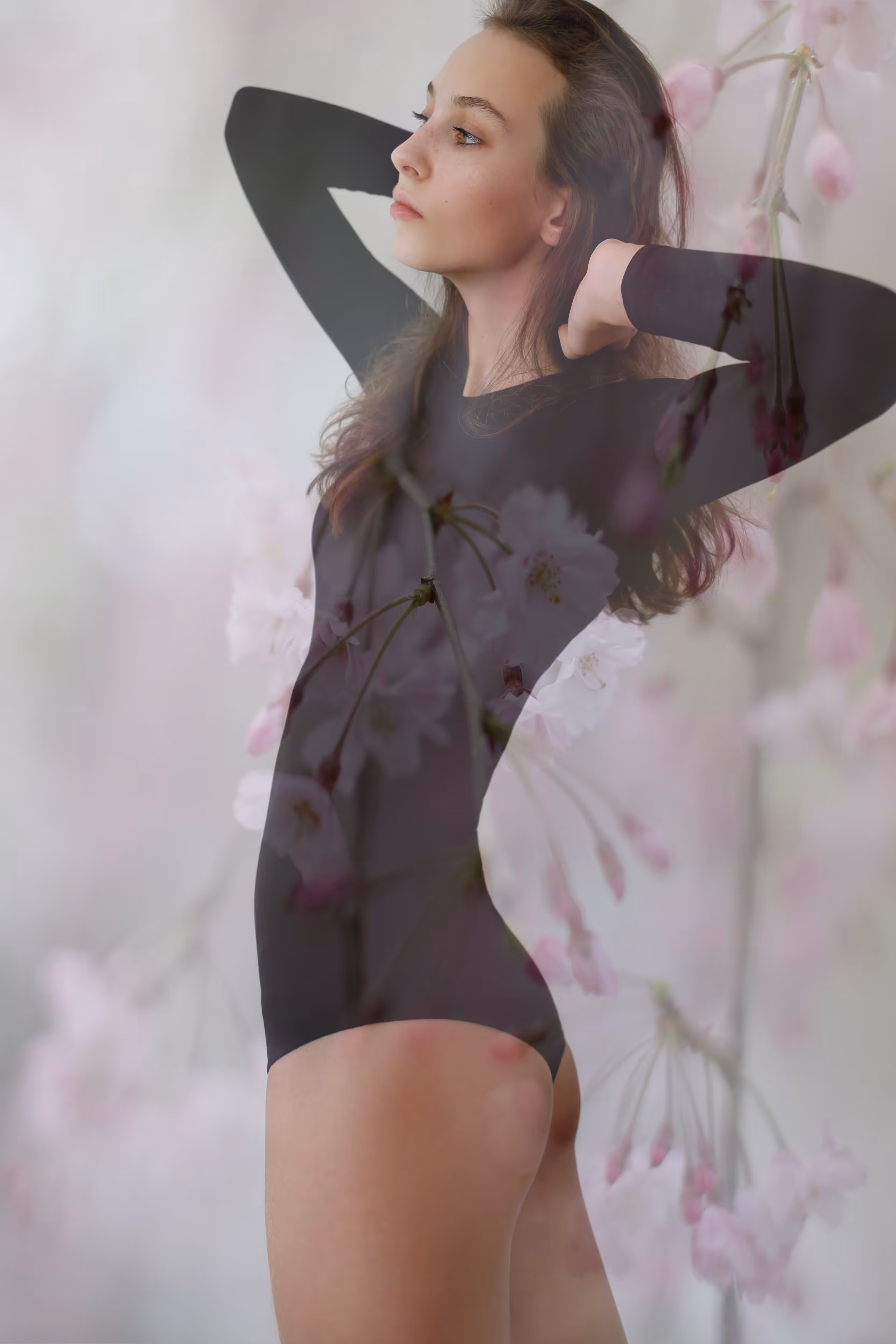 Full bloom