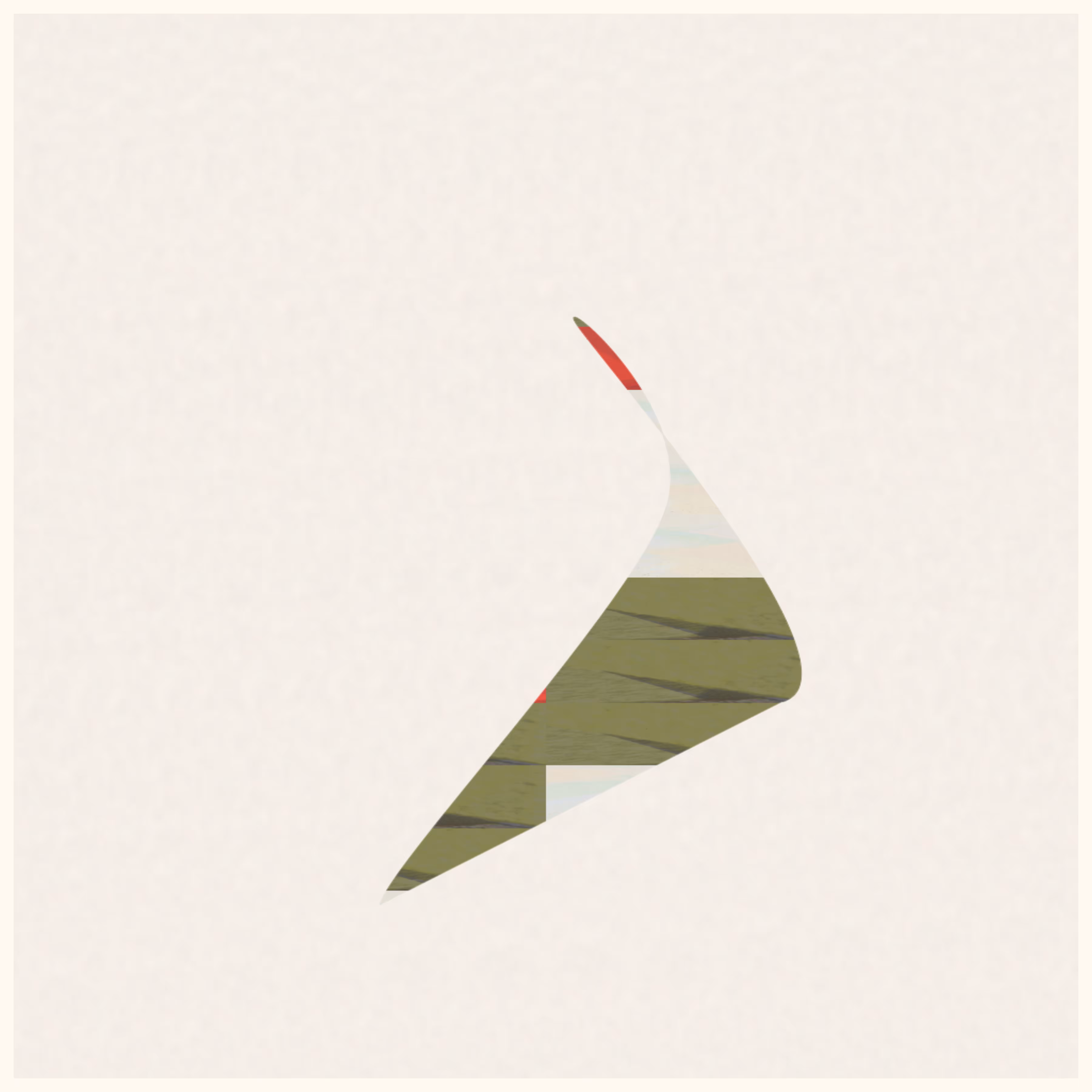 Woodpecker