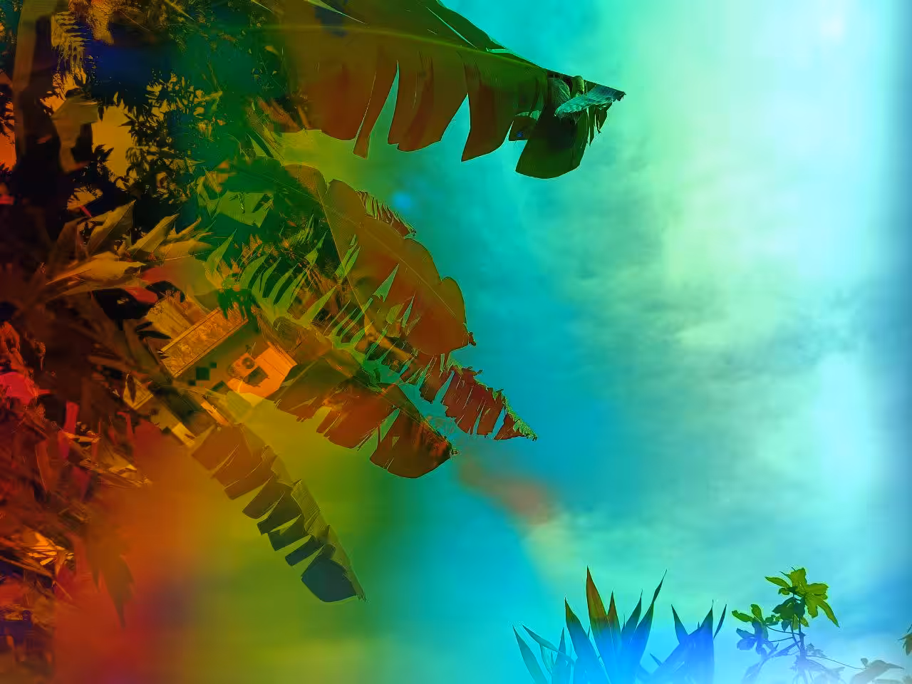 Tropical Spectrum