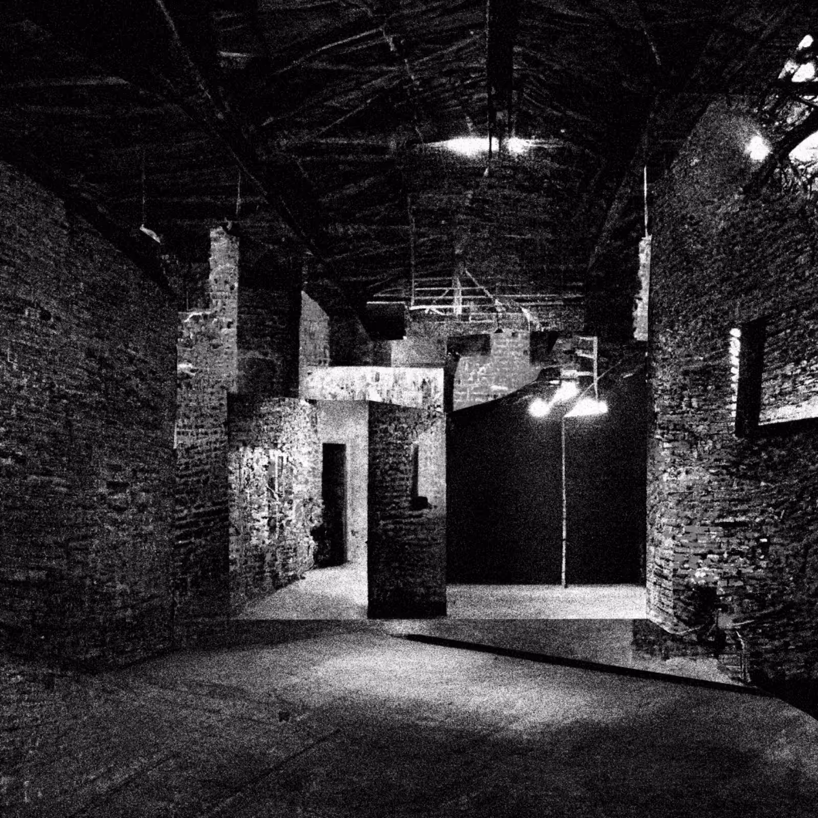 Liminal Newberry #151