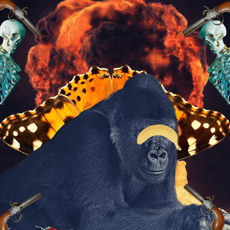 Blinded apes #68