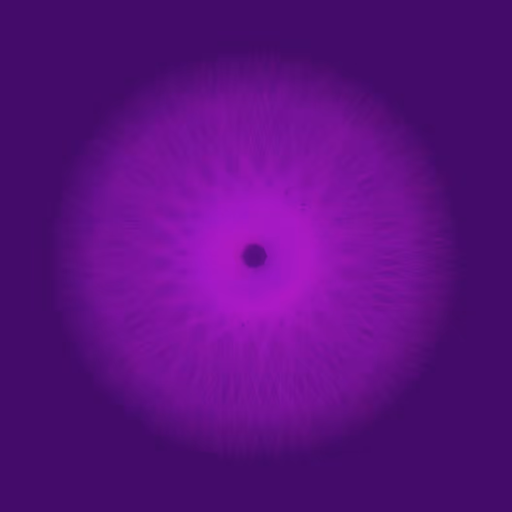 Black Hole Sun #1
