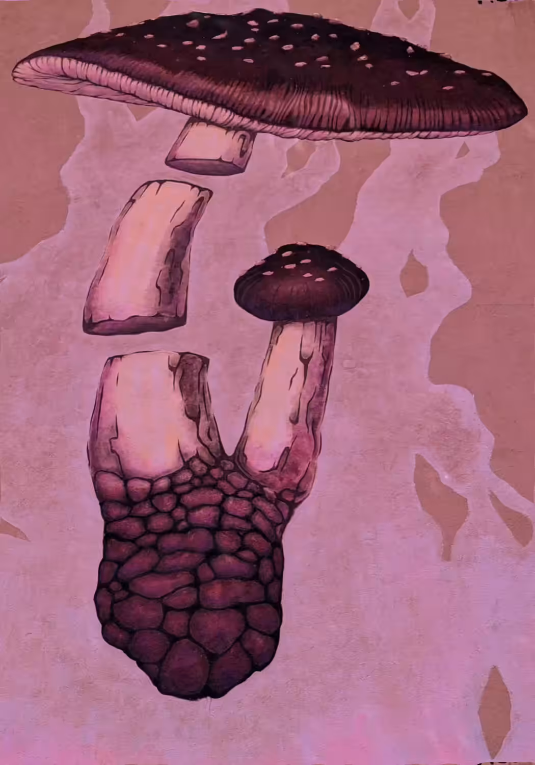 bubble mushroom (2022)