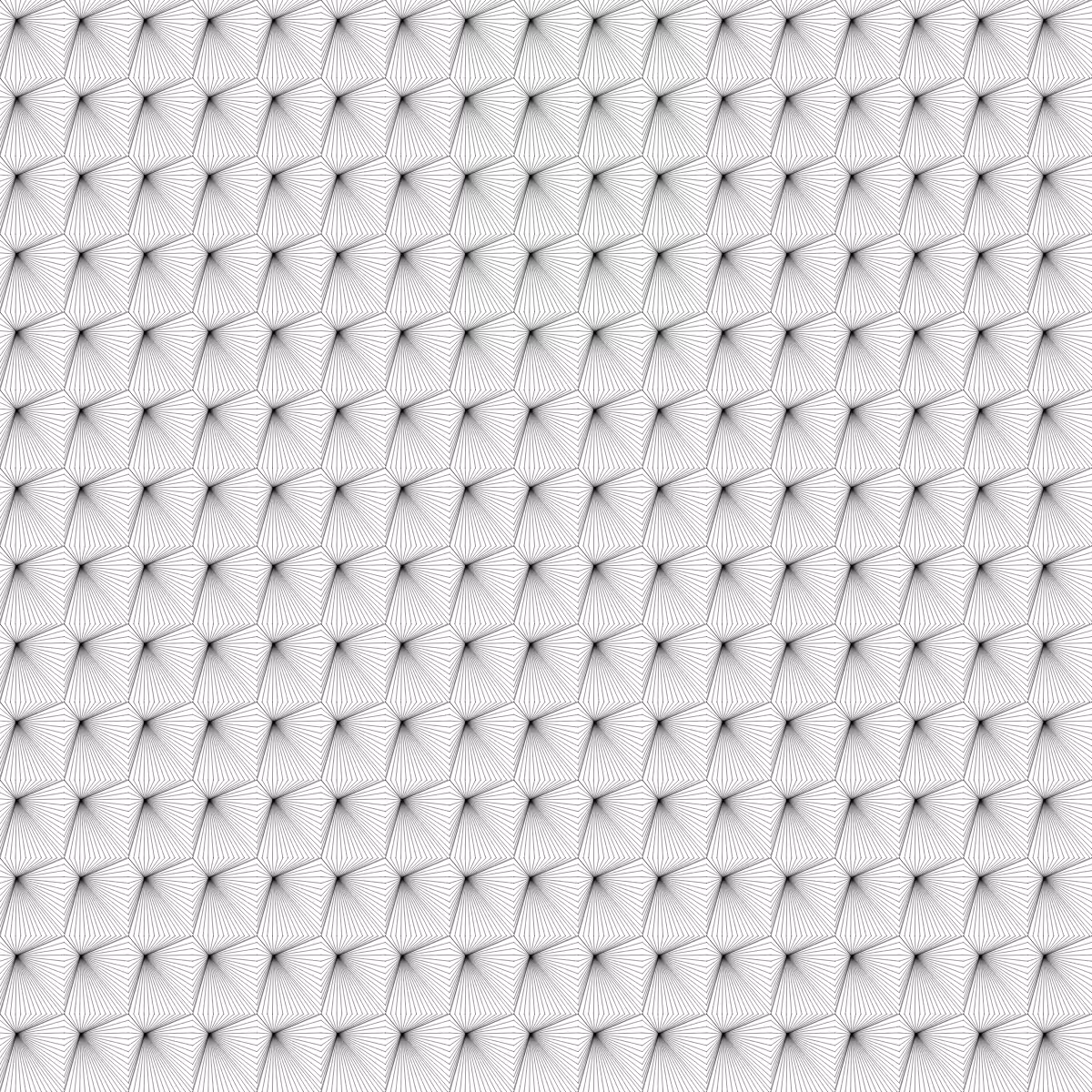 Noir et Blanc #28