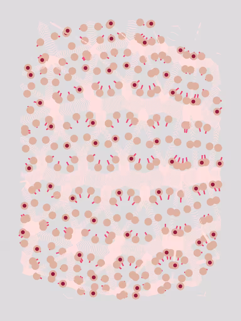 CSF DATA Integration #26